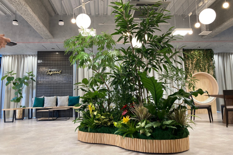 観葉植物で空間ブランディング!法人提案ビジネス始めませんか?
