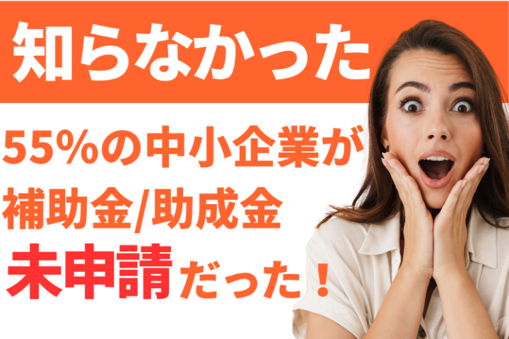公的支援で法人開拓！助成金・補助金申請サポートの代理店募集のメイン画像